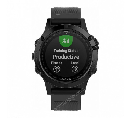 Часы с GPS Garmin Fenix 5 серые с черным ремешком